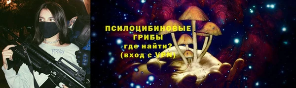 дмт Михайлов