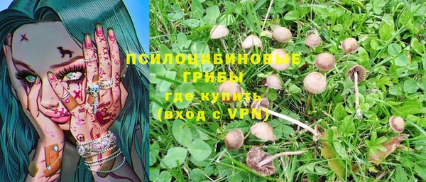 таблы Михайловск